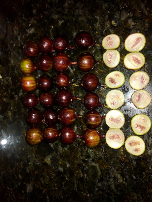 WhatsApp Image 2020-12-20 at 00.10.49 (30)