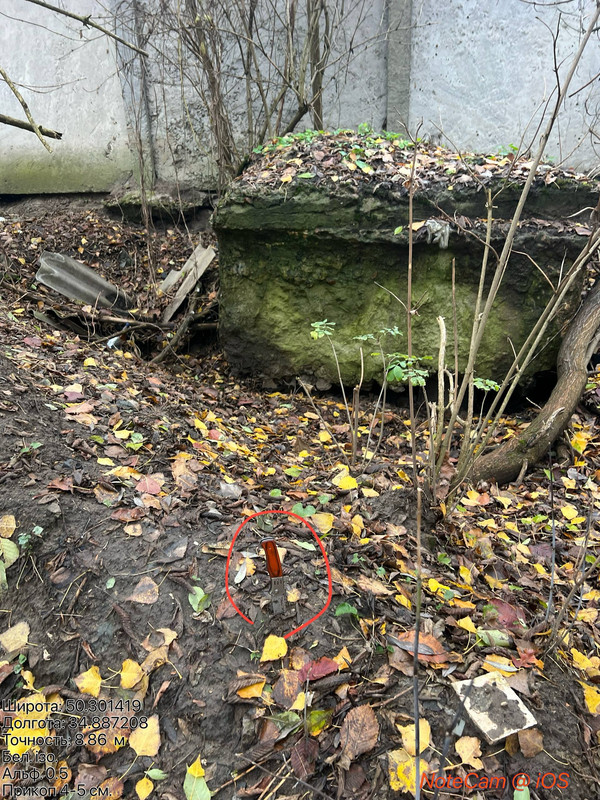 photo 35 2025 11 02 13 32 12