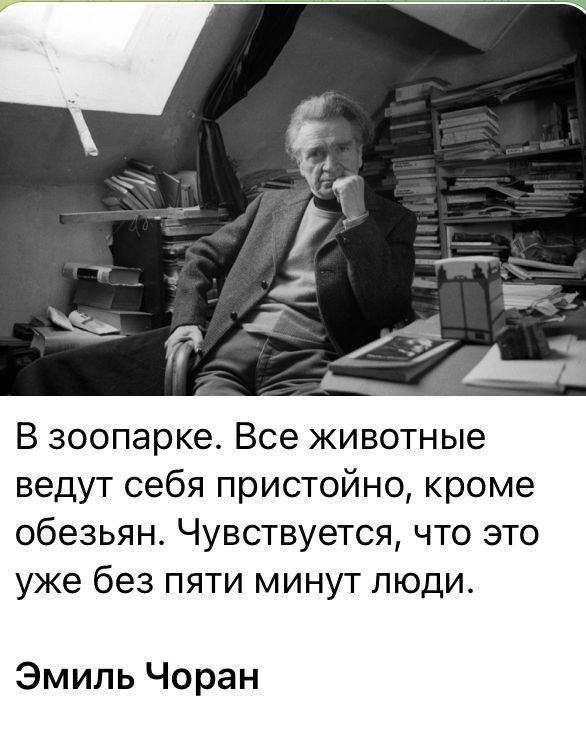 [Изображение: photo-2025-08-20-16-23-21.jpg]