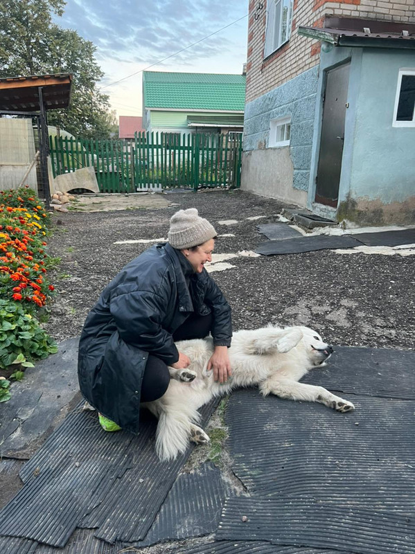 CAA99354-624E-407B-9201-573DCB2398DB