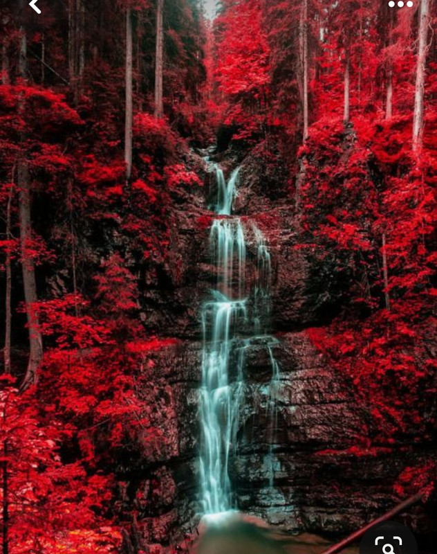 Screenshot_20231220_104821_Pinterest