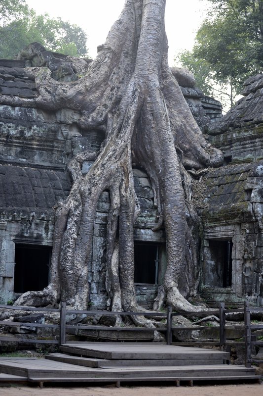 Angkor II. Circuito corto. - De la bahía de Halong a los templos de Angkor (1)
