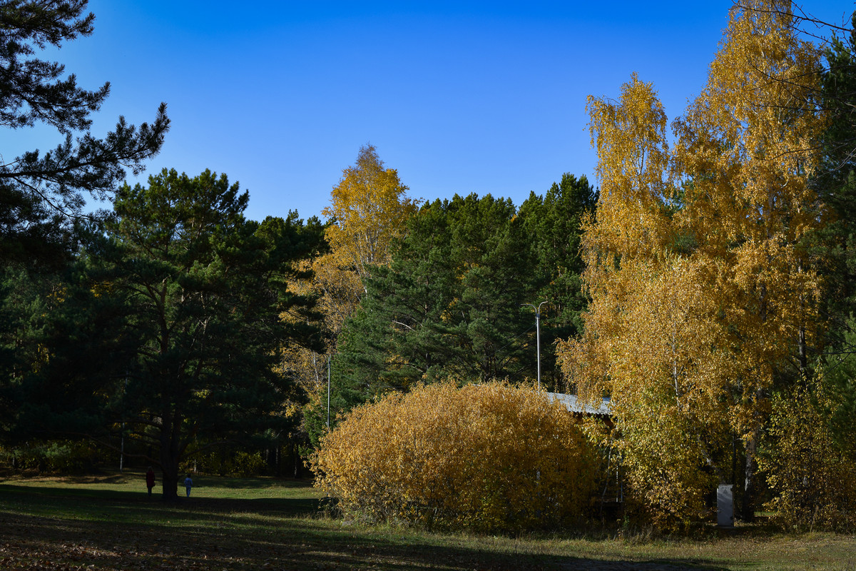 DSC-6382.jpg