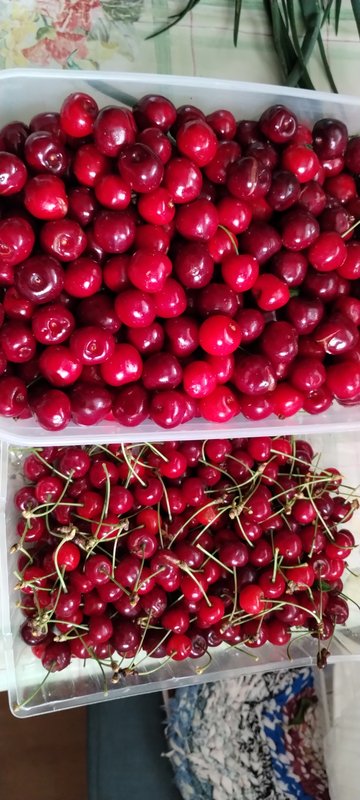 IMG-8e8383b588cf3516d1ba2b052adae09b-V