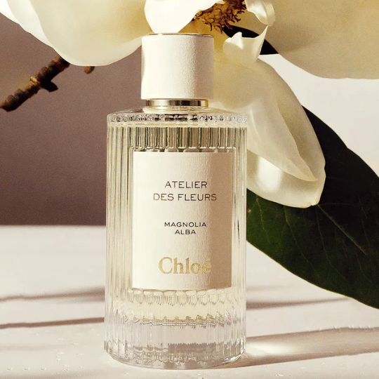 Chlo-Magnolia-Alba.png