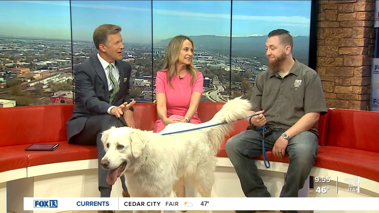 FOX13 News Good Day Utah 9AM_20240419_16001700.ts_snapshot_56.00.114