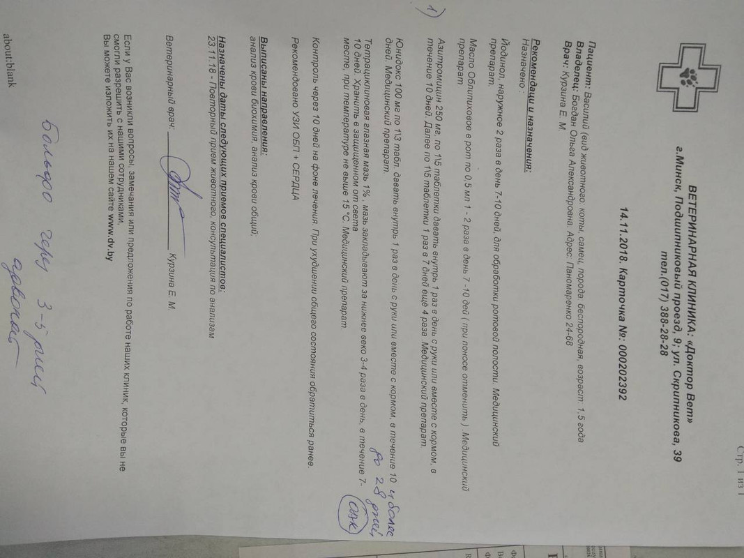 назначение1