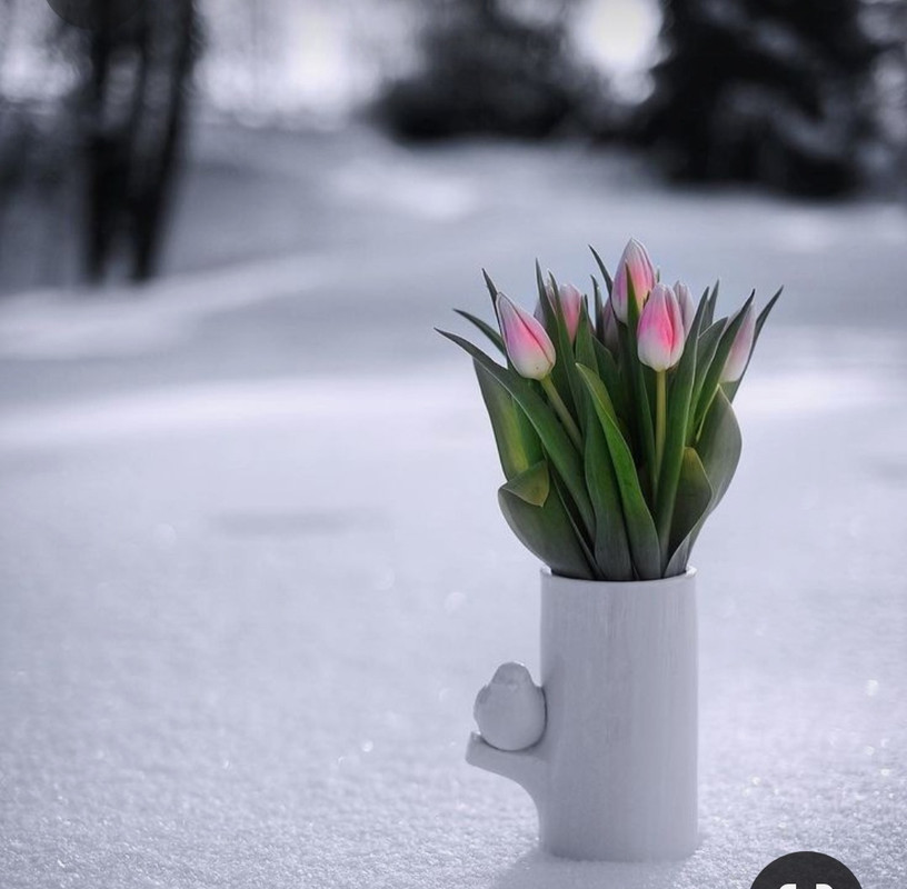 Screenshot_20230404_230407_Pinterest