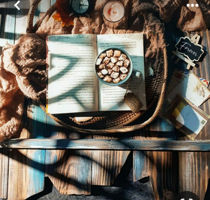 Screenshot_20240104_225439_Pinterest