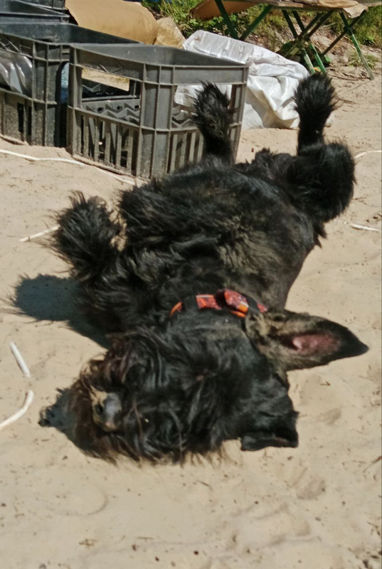 photo_2025-09-04_15-34-29 (2)