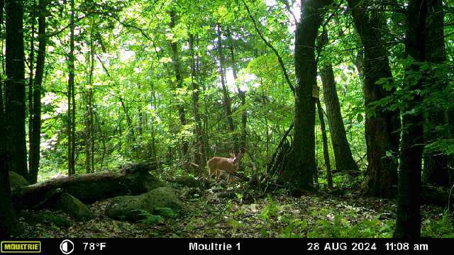 486024-20240828151031-100MFCAM_MFDC4641