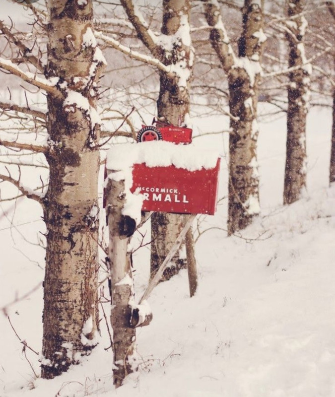 Screenshot_20231206_202345_Pinterest