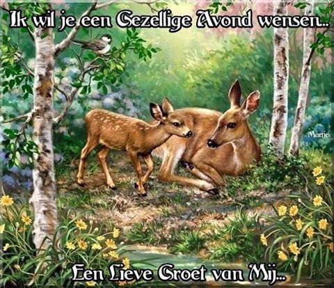 1-Matje-gezellige-avond