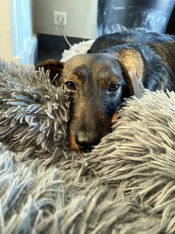 [Image: IMG-0469.jpg]