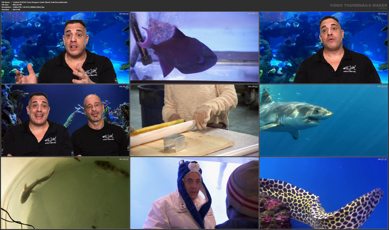 Tanked S15E10 Tracy Morgan's Giant Shark Tank Revealed.mkv
