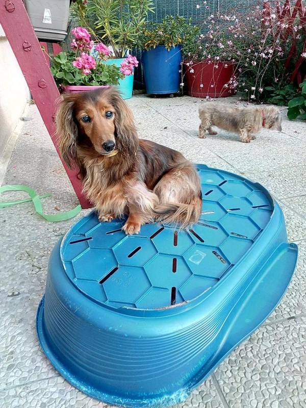 [Image: IMG-20201023-115642970.jpg]