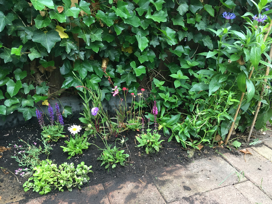 0813EEEE-D271-4A8C-B1BB-4E9F3EFA8602