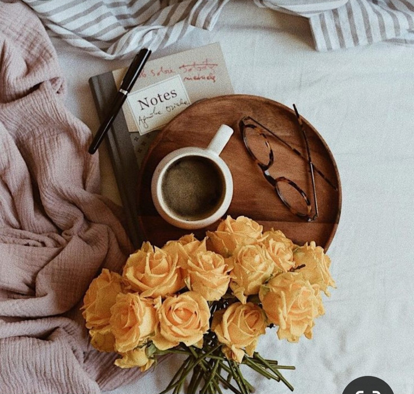 Screenshot_20230305_231717_Pinterest