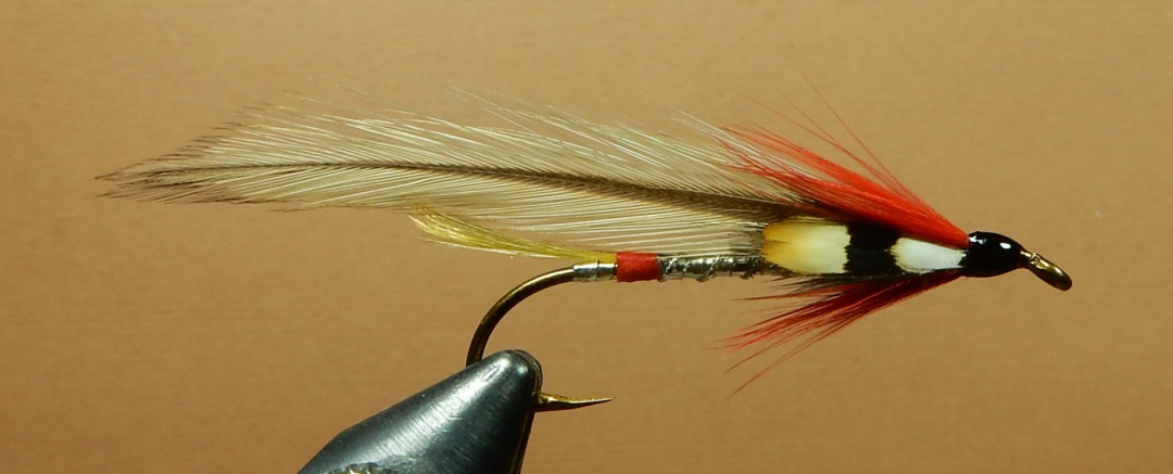 York-s-Kennebago-1080.jpg