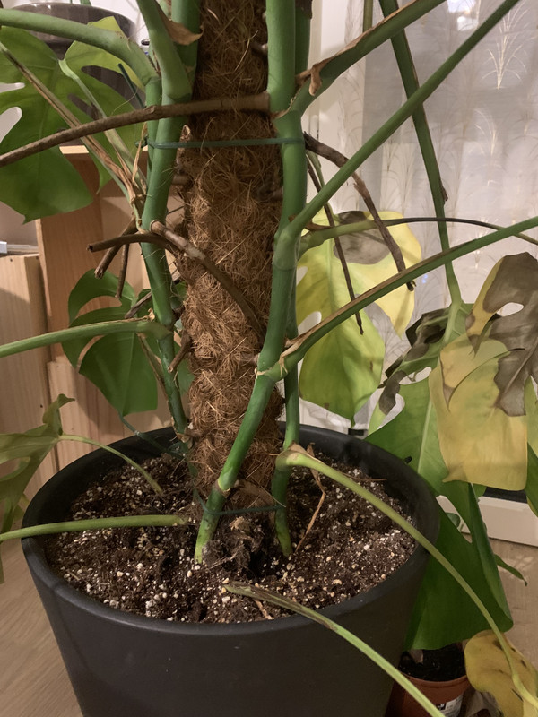 5A4964A7-D9DF-4B46-A812-E7A8F83F6038