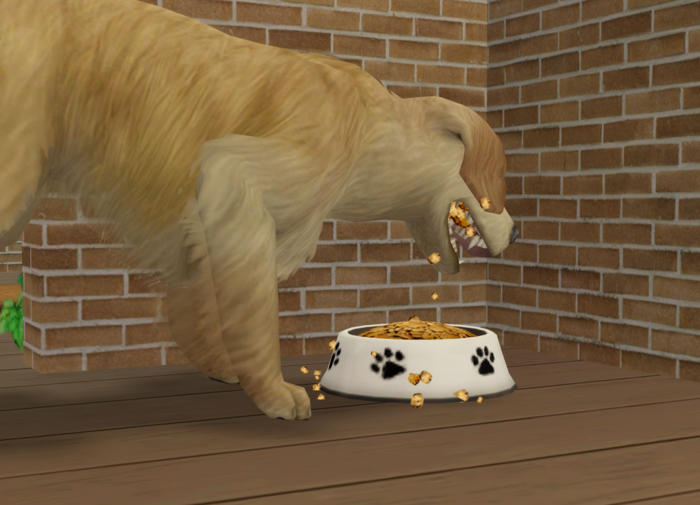 Sims2-EP9-RPC-2022-02-06-14-15-56-19