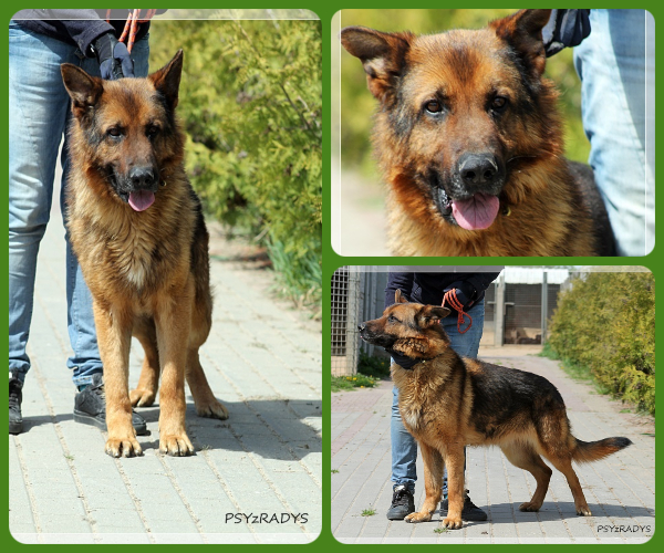 BeFunky-collage (25)