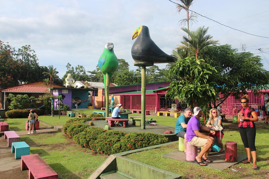 DIA 2: LLEGADA A TORTUGUERO - DE TORTUGAS Y PEREZOSOS. COSTA RICA 2019 (37)