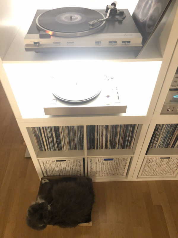 DF444E22-DDBE-4A48-8E39-B6F0A16EA390