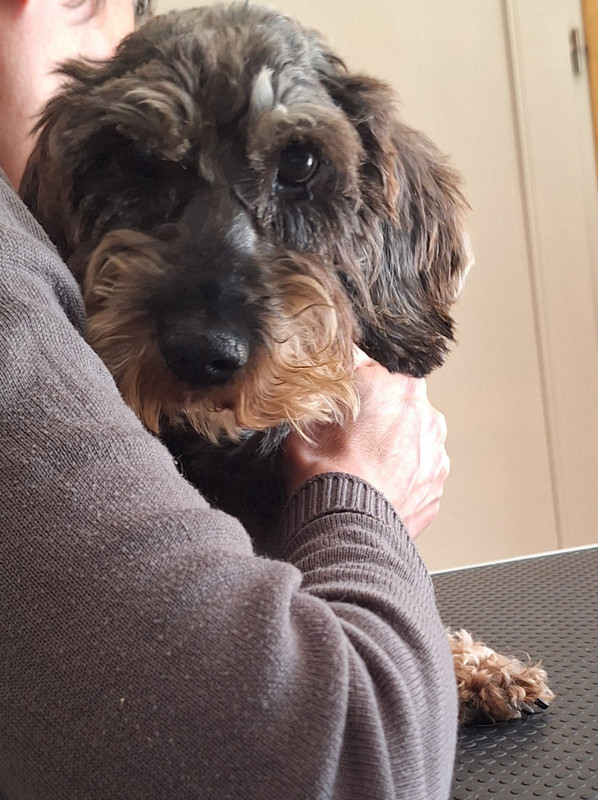 [Image: 20250602-160646.jpg]