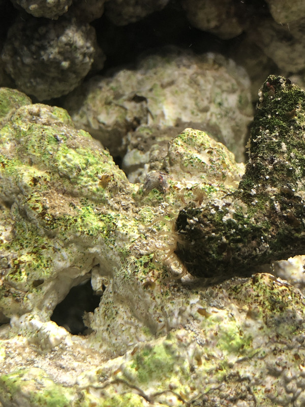 457C552D-5A9E-4338-A1C1-B70B13CA64E0