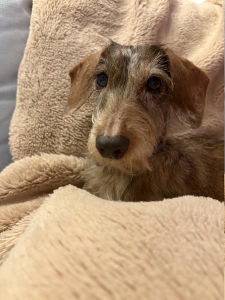 [Image: IMG-0927.jpg]