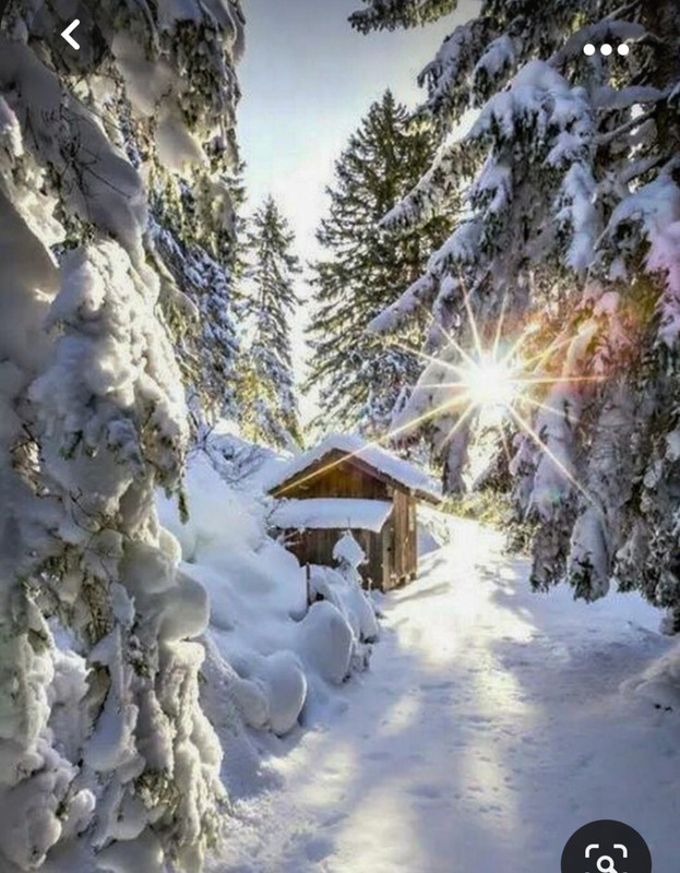 Screenshot_20231102_002946_Pinterest