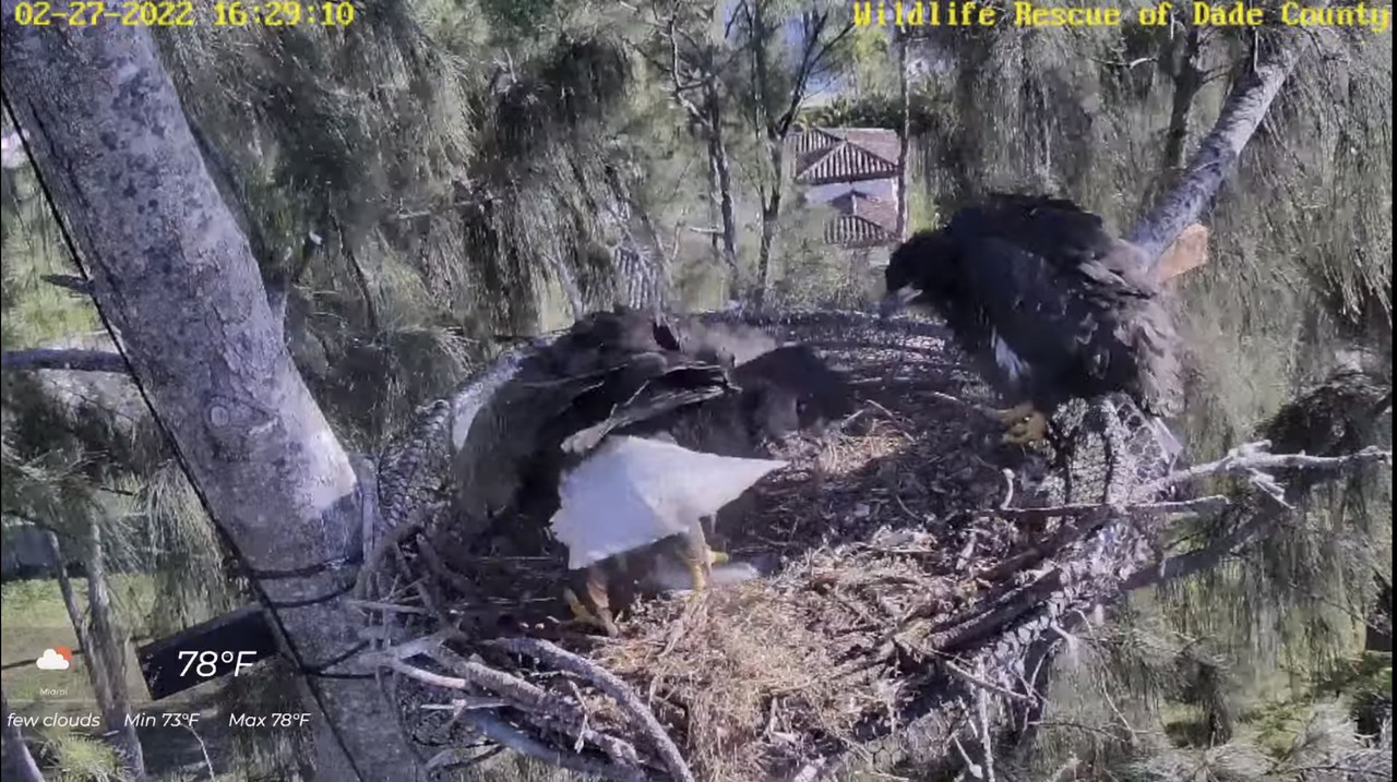 F50D7FAC-EC9F-4704-B0A4-2202664D79EB