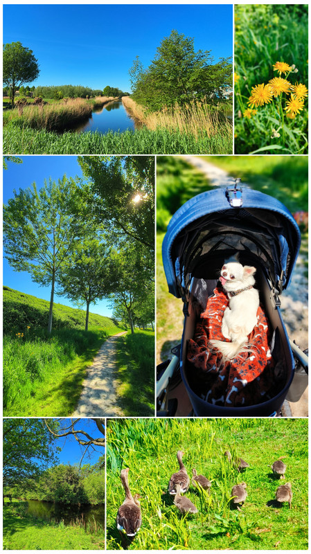 InShot_20250510_124041322