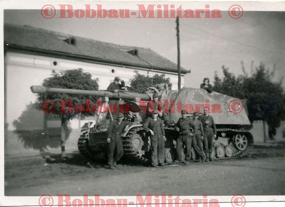 Ungarn 1944 Panzerjäger Nashorn Hornisse Sd.Kfz 164 Endkampf Pla