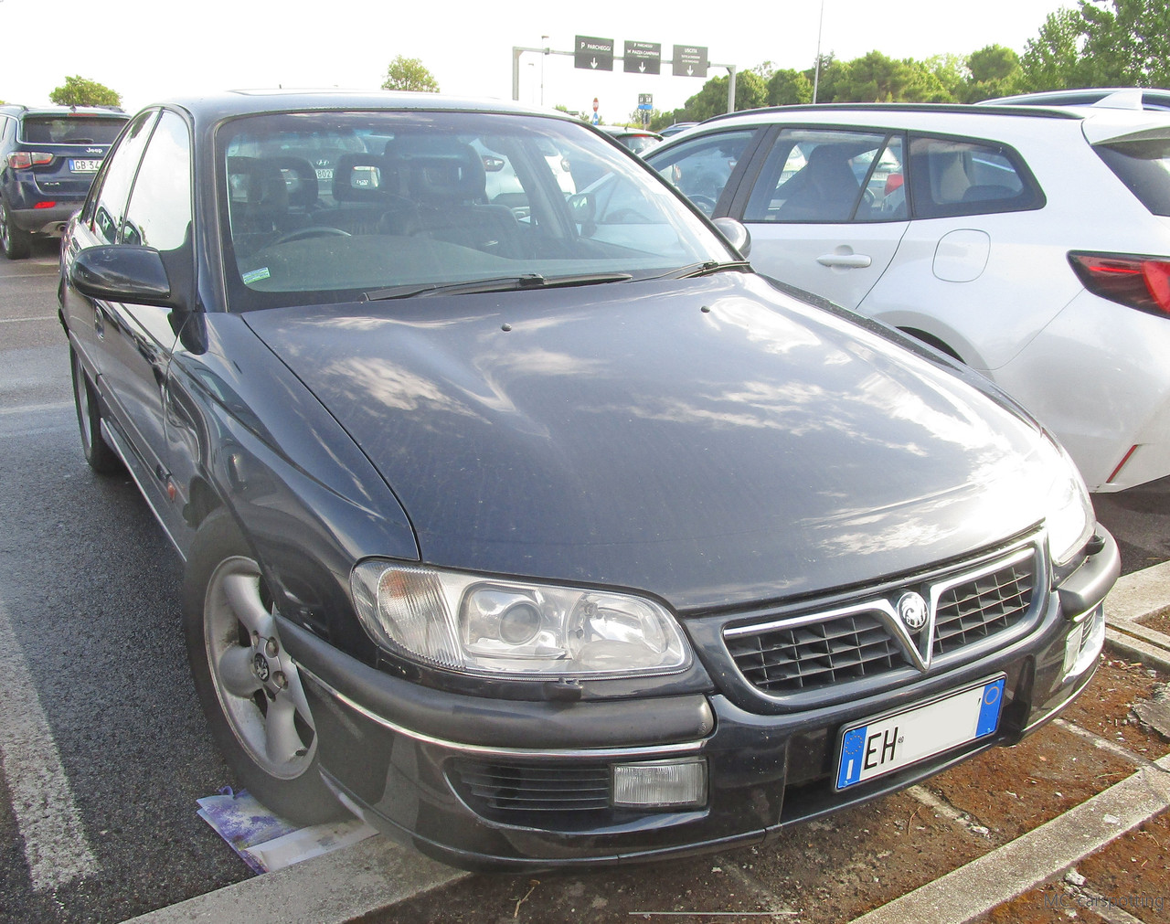 IMG-8649.jpg