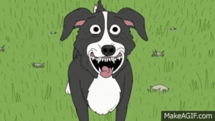 GIF-20250528-062258-842.gif