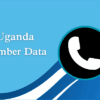 Uganda number data 100x100
