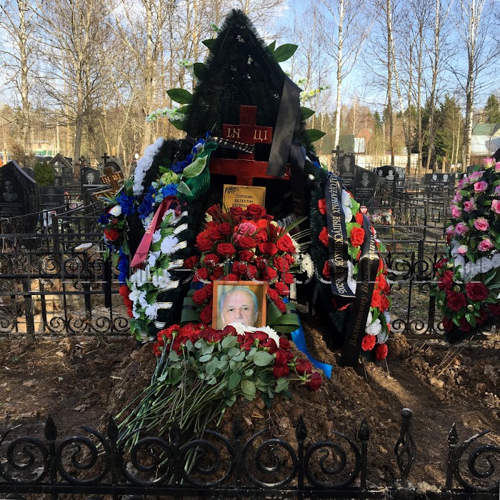 sorokin-vv2