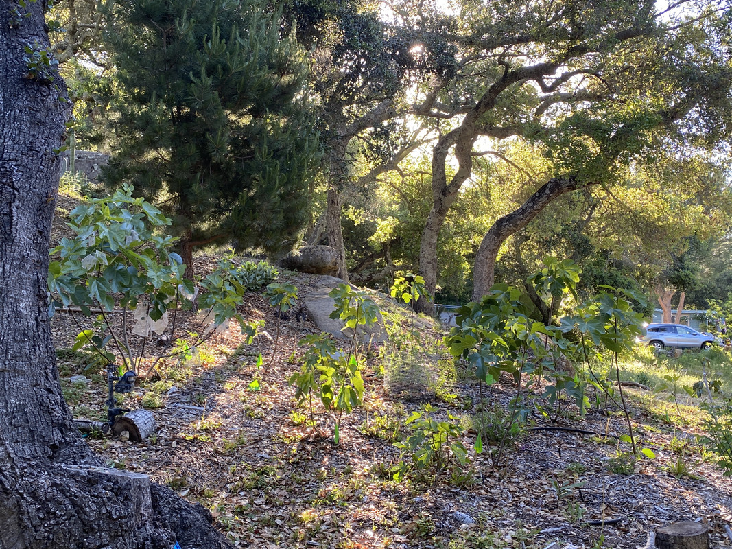 8B4F9454-6FC3-47A4-A616-74CB139AB8BC