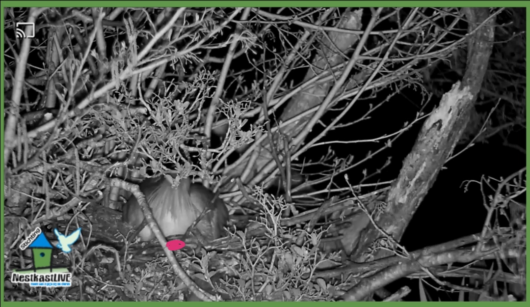 Screenshot 20260406 220752