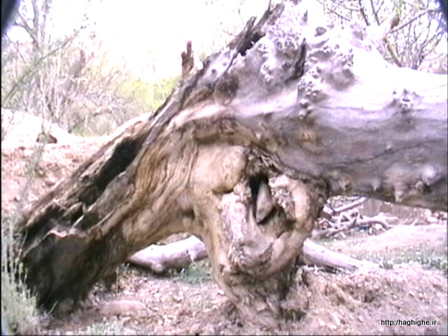 P-Apr04-114801