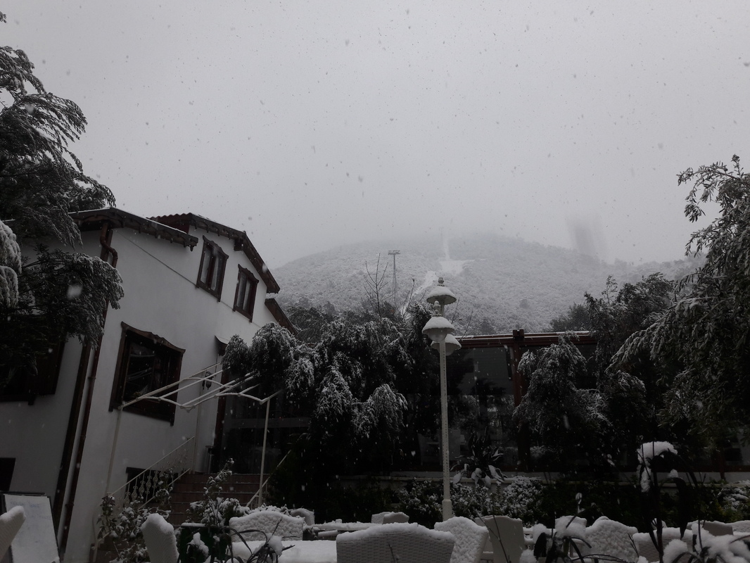 20170110-094724.jpg