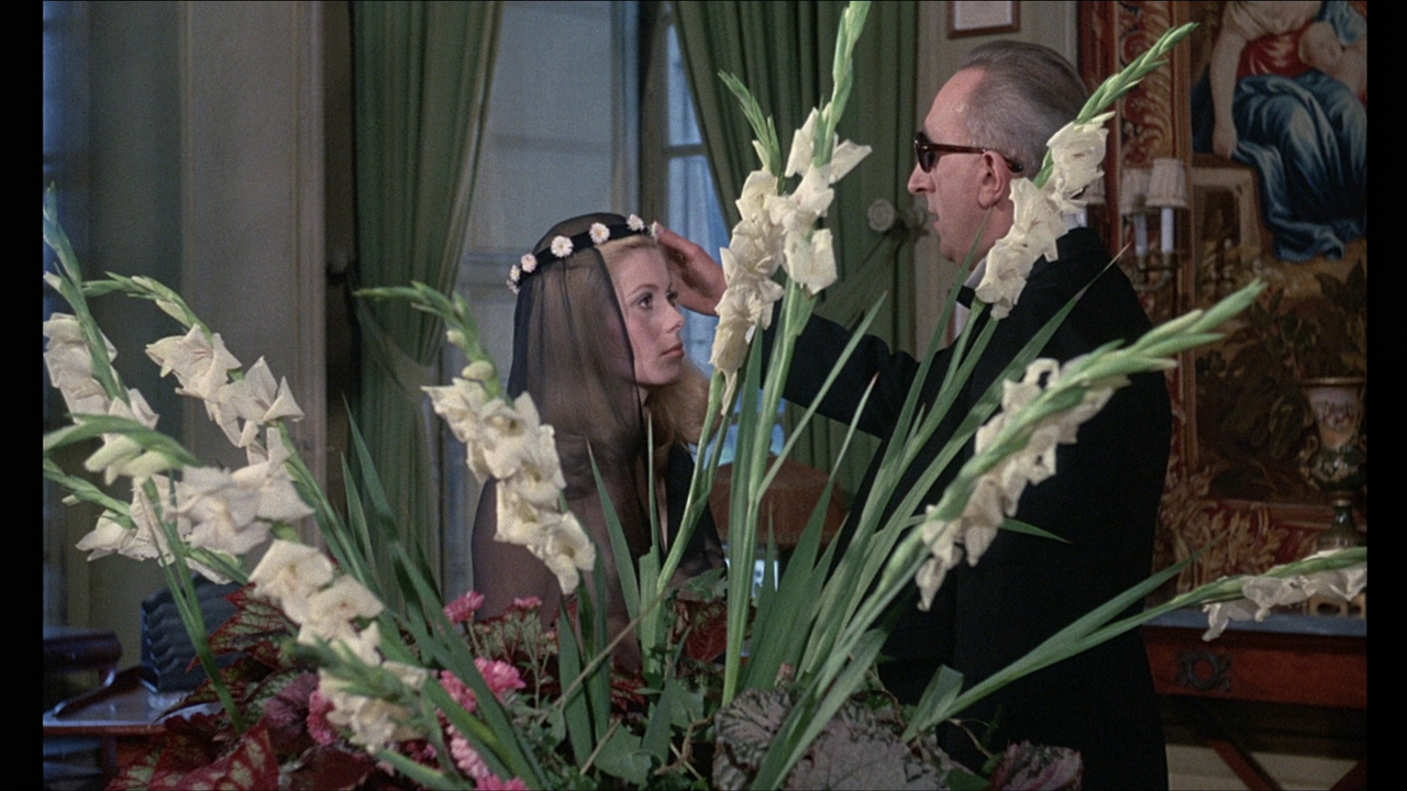 vlcsnap-2024-08-23-15h33m57s610