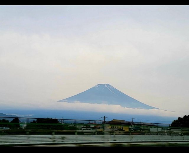 [Image: thumbnail-17.jpg]