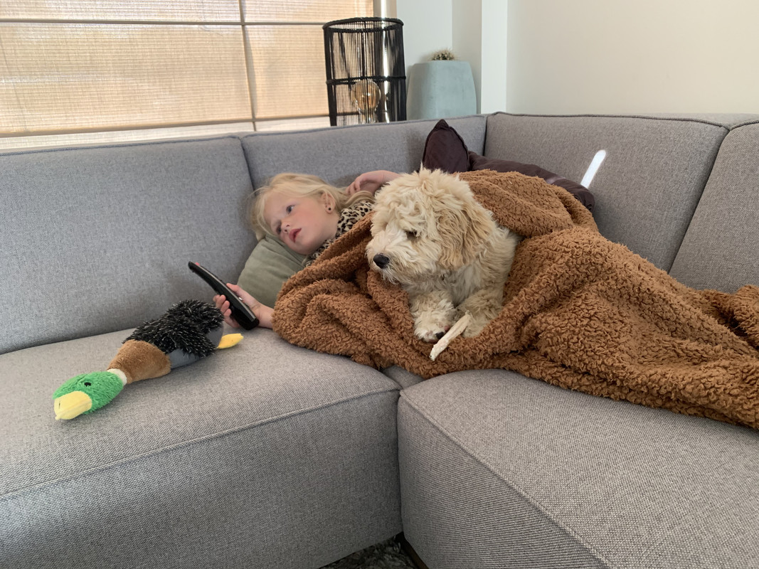 3ECFB3D9-A24B-4070-9B57-9A62CB0AF67B