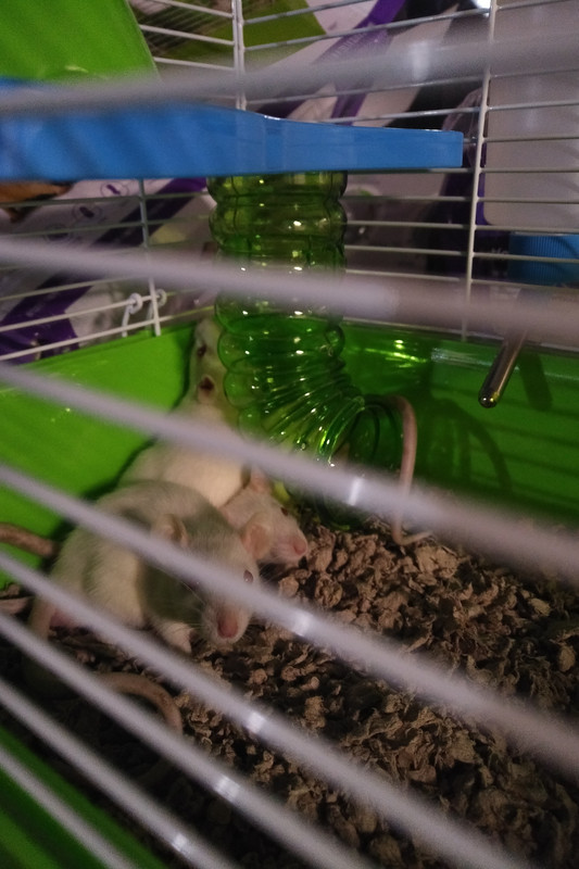 IMG_20200306_1750222