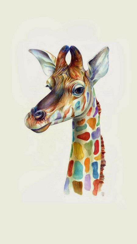 multi-giraffe.jpg
