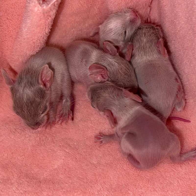 6D926BA3-6F7F-4C7C-A6B2-33E74E8EEF30