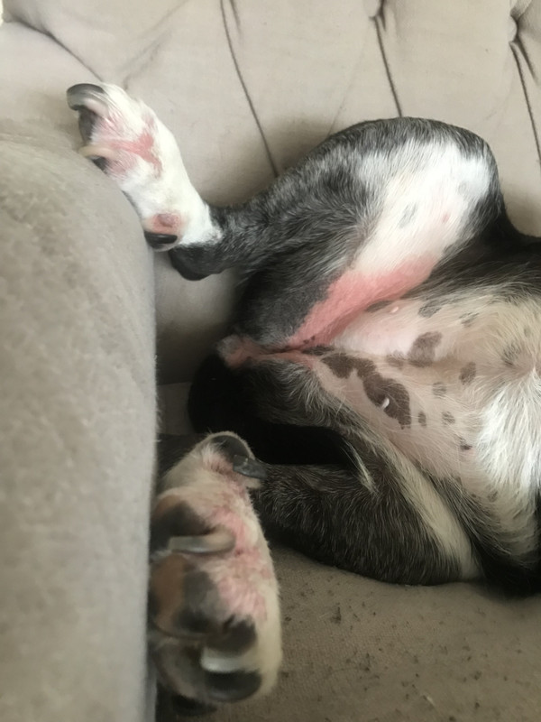 9F11BCFD-6950-44C5-A47F-AA45C9BD72D1